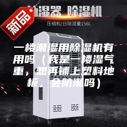 一樓潮濕用除濕機有用嗎（我是一樓濕氣重，想再鋪上塑料地板，會防潮嗎）