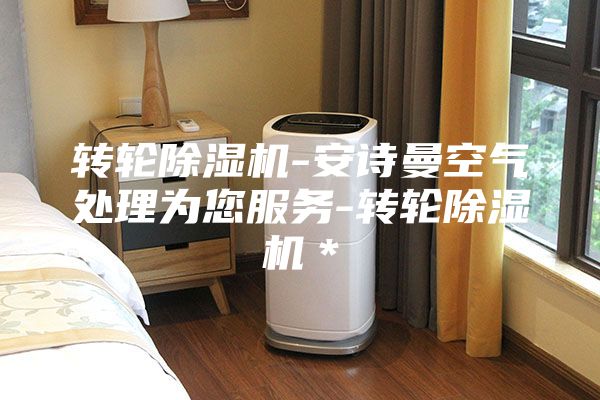 轉(zhuǎn)輪除濕機(jī)-安詩(shī)曼空氣處理為您服務(wù)-轉(zhuǎn)輪除濕機(jī)＊