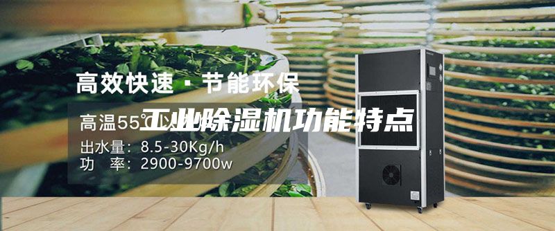 工業(yè)除濕機功能特點