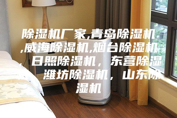 除濕機(jī)廠家,青島除濕機(jī),威海除濕機(jī),煙臺(tái)除濕機(jī)，日照除濕機(jī)，東營(yíng)除濕機(jī)，濰坊除濕機(jī)，山東除濕機(jī)