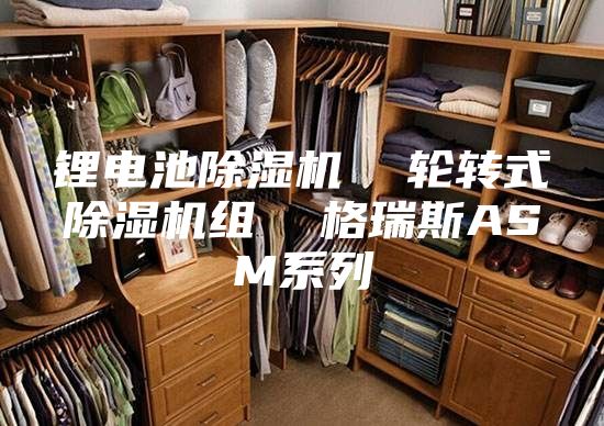 鋰電池除濕機  輪轉(zhuǎn)式除濕機組  格瑞斯ASM系列