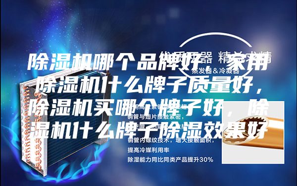 除濕機(jī)哪個(gè)品牌好，家用除濕機(jī)什么牌子質(zhì)量好，除濕機(jī)買哪個(gè)牌子好，除濕機(jī)什么牌子除濕效果好