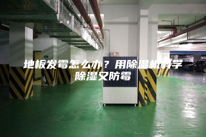 地板發霉怎么辦？用除濕機科學除濕又防霉