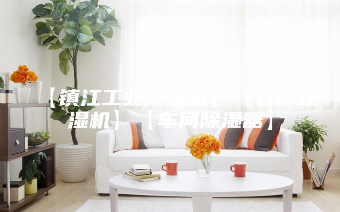 【鎮(zhèn)江工業(yè)除濕機(jī)】【倉(cāng)庫(kù)抽濕機(jī)】【車間除濕器】