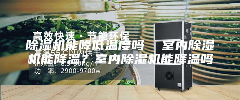 除濕機(jī)能降低溫度嗎  室內(nèi)除濕機(jī)能降溫？室內(nèi)除濕機(jī)能降溫嗎