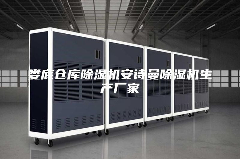 婁底倉庫除濕機安詩曼除濕機生產(chǎn)廠家
