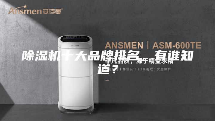除濕機(jī)十大品牌排名，有誰知道？