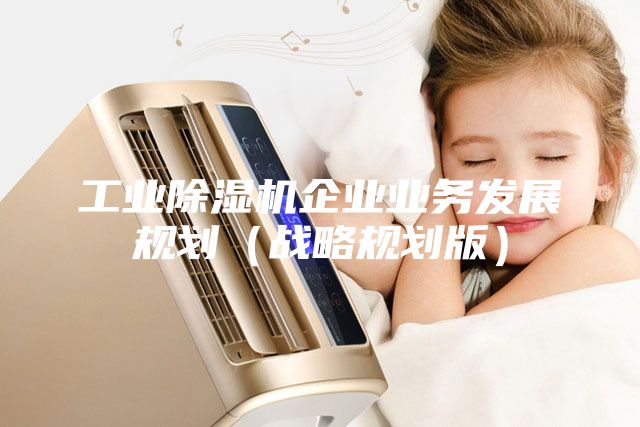 工業除濕機企業業務發展規劃(戰略規劃版)