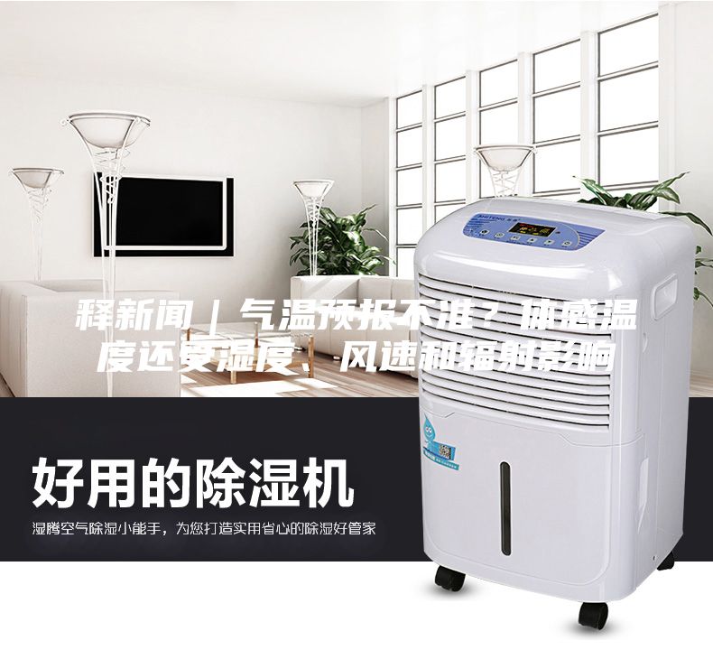 釋新聞｜氣溫預(yù)報(bào)不準(zhǔn)？體感溫度還受濕度、風(fēng)速和輻射影響