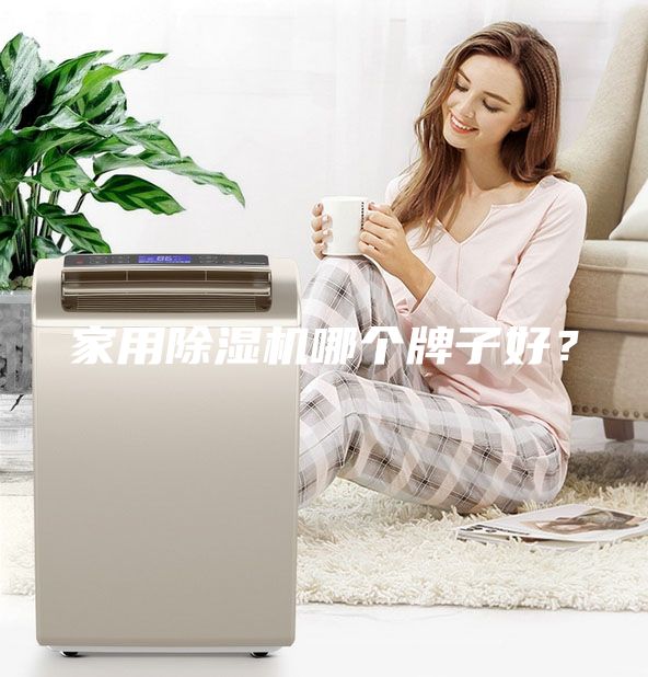 家用除濕機(jī)哪個(gè)牌子好？