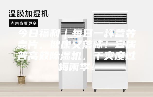 今日福利｜每日一杯營養麥片，健康又落味！宜盾普高效除濕機，干爽度過梅雨季！