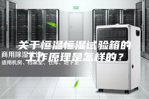 關(guān)于恒溫恒濕試驗(yàn)箱的工作原理是怎樣的?