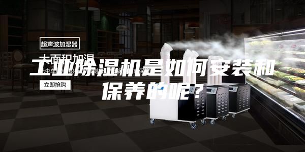 工業(yè)除濕機(jī)是如何安裝和保養(yǎng)的呢?