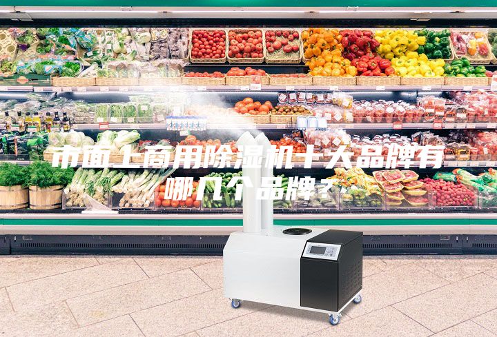 市面上商用除濕機十大品牌有哪幾個品牌?