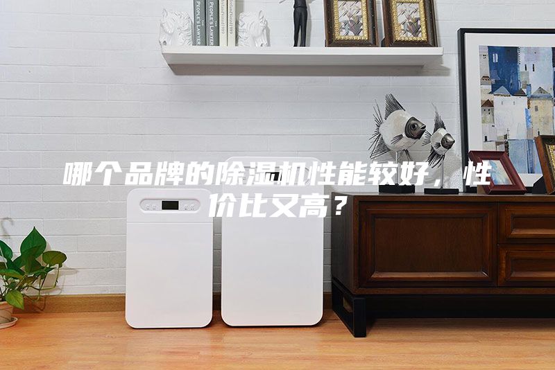 哪個品牌的除濕機性能較好，性價比又高？