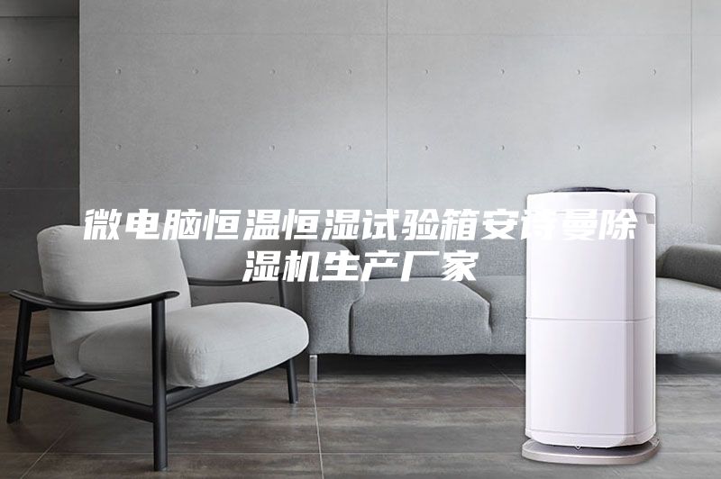 微電腦恒溫恒濕試驗(yàn)箱安詩(shī)曼除濕機(jī)生產(chǎn)廠家