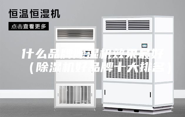 什么品牌除濕機(jī)效果最好(除濕機(jī)好品牌十大排名)