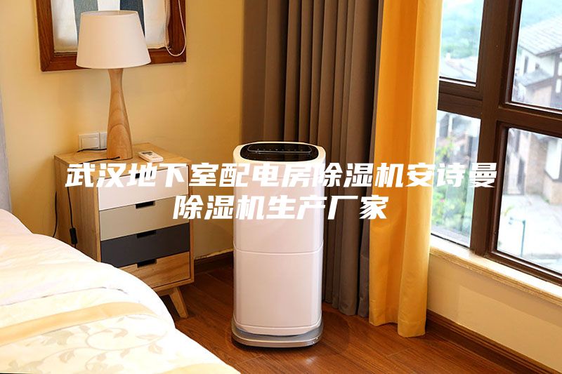 武漢地下室配電房除濕機(jī)安詩曼除濕機(jī)生產(chǎn)廠家