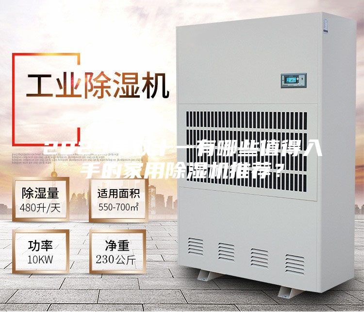 2023年雙十一有哪些值得入手的家用除濕機推薦？