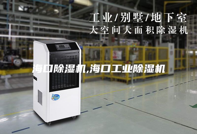 海口除濕機,?？诠I除濕機