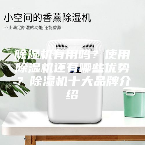 除濕機有用嗎？使用除濕機還有哪些優(yōu)勢？除濕機十大品牌介紹