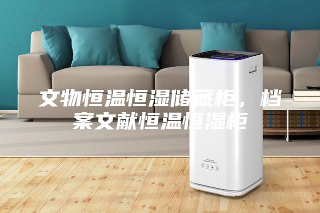文物恒溫恒濕儲藏柜，檔案文獻(xiàn)恒溫恒濕柜