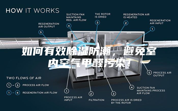 如何有效除濕防潮，避免室內空氣甲醛污染！