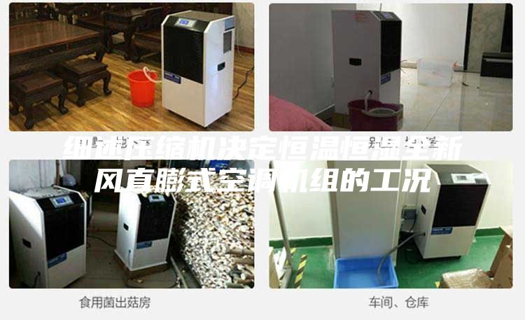 細(xì)述壓縮機決定恒溫恒濕全新風(fēng)直膨式空調(diào)機組的工況