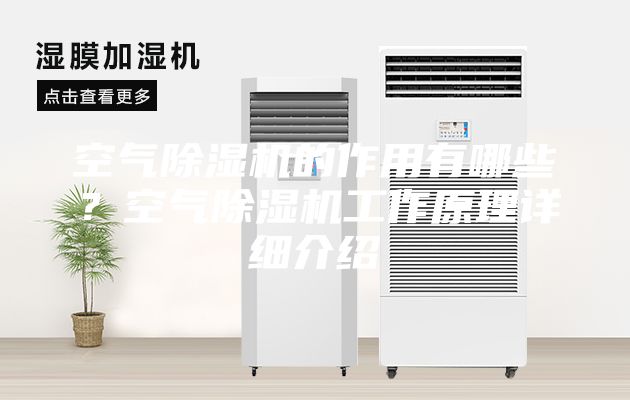 空氣除濕機的作用有哪些？空氣除濕機工作原理詳細介紹