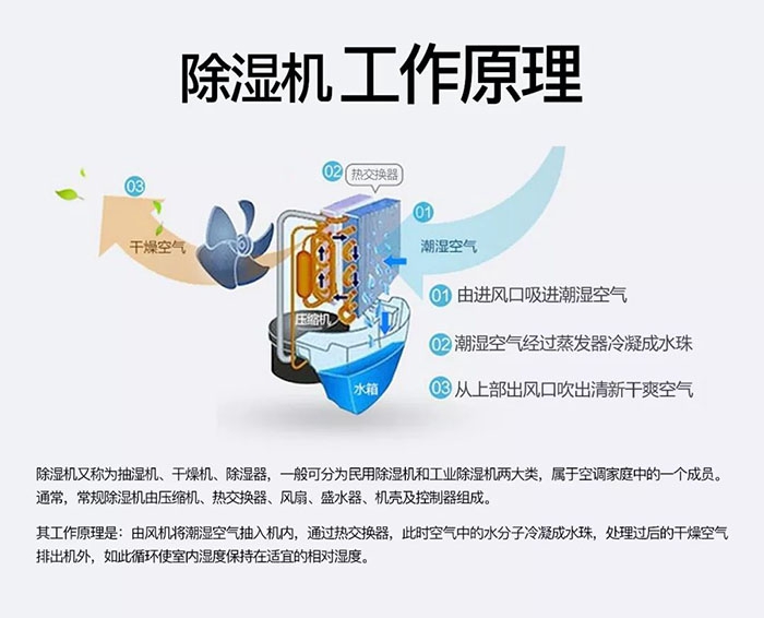 蜈蚣出沒(méi)潮濕區(qū)，安詩(shī)曼除濕機(jī)消除蜈蚣隱患