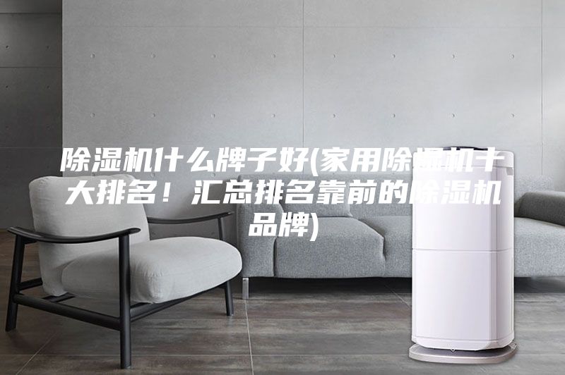 除濕機什么牌子好(家用除濕機十大排名！匯總排名靠前的除濕機品牌)