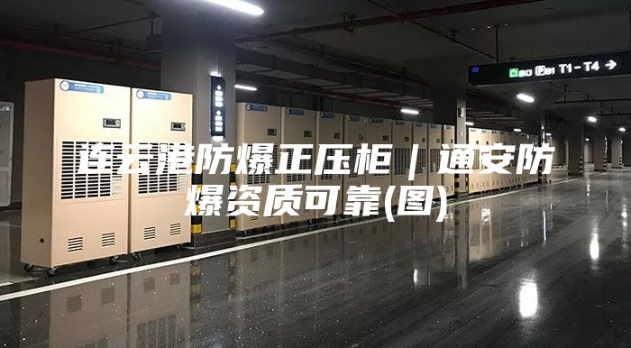 連云港防爆正壓柜｜通安防爆資質(zhì)可靠(圖)