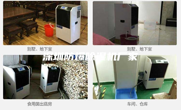 深圳防爆除濕機(jī)廠家
