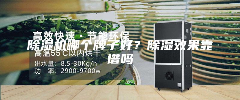除濕機(jī)哪個牌子好?除濕效果靠譜嗎