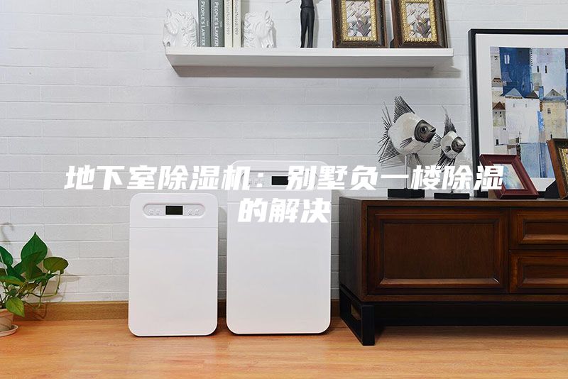 地下室除濕機(jī):別墅負(fù)一樓除濕的解決