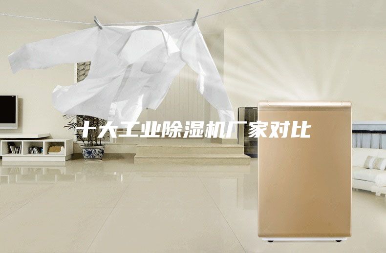 十大工業(yè)除濕機(jī)廠家對(duì)比