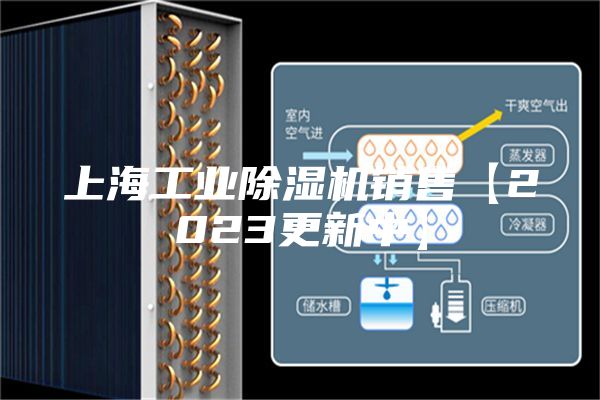 上海工業(yè)除濕機(jī)銷售【2023更新中】