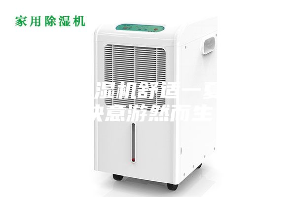 泳池除濕機舒適一夏健康快意游然而生