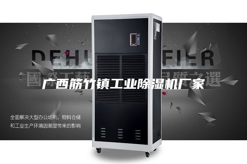 廣西筋竹鎮工業除濕機廠家