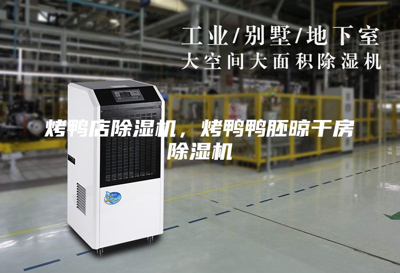 烤鴨店除濕機(jī)，烤鴨鴨胚晾干房除濕機(jī)