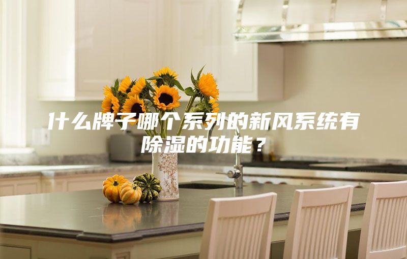 什么牌子哪個系列的新風系統有除濕的功能？