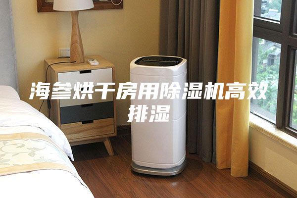 海參烘干房用除濕機(jī)高效排濕