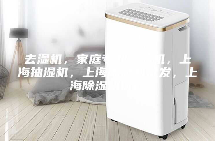 去濕機，家庭專業除濕機，上海抽濕機，上海除濕機批發，上海除濕機價錢