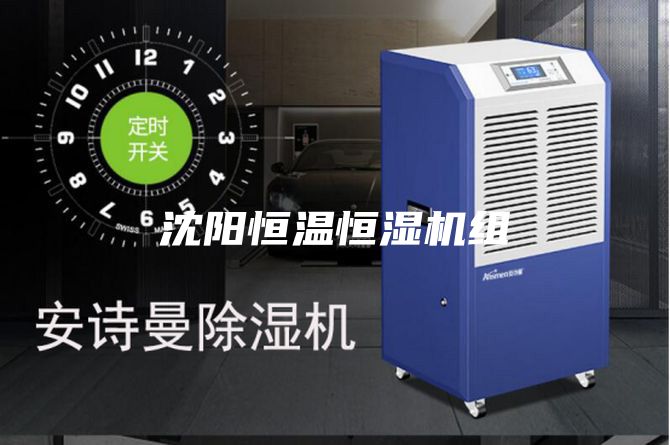 沈陽(yáng)恒溫恒濕機(jī)組