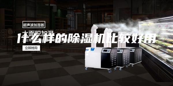 什么樣的除濕機(jī)比較好用？