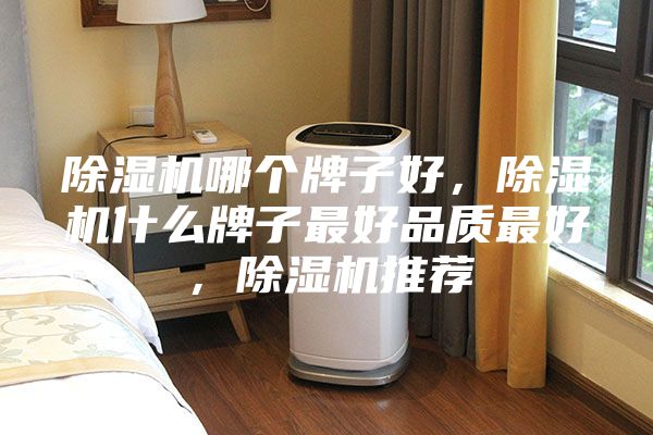 除濕機哪個牌子好，除濕機什么牌子最好品質最好，除濕機推薦