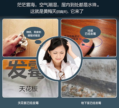 棉紗烘干設(shè)備,棉紗烘干除濕一體機