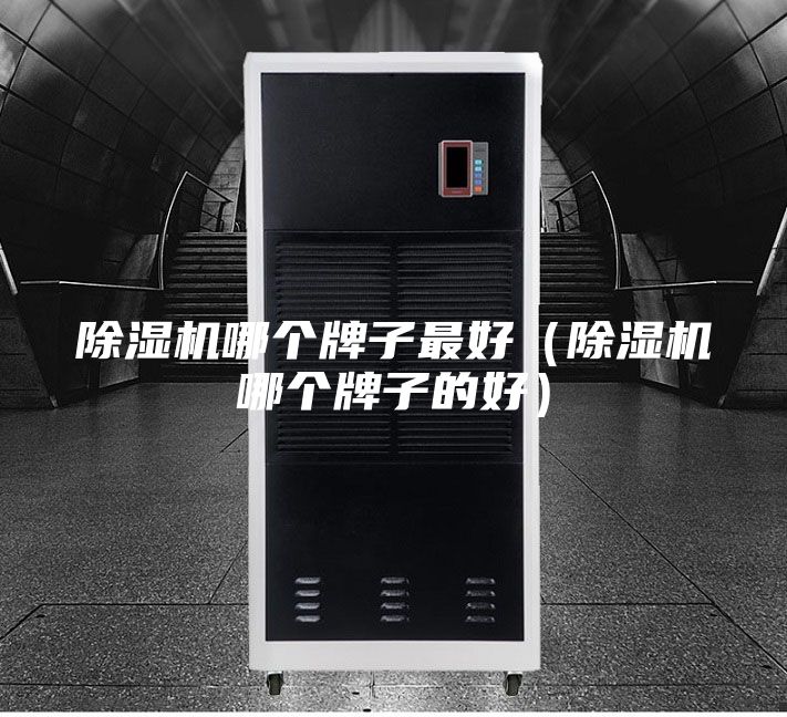 除濕機(jī)哪個(gè)牌子最好（除濕機(jī)哪個(gè)牌子的好）