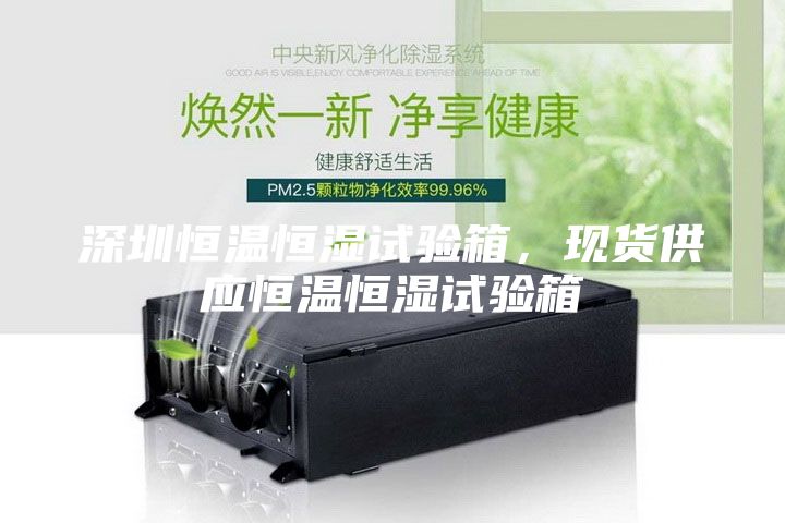 深圳恒溫恒濕試驗箱，現貨供應恒溫恒濕試驗箱