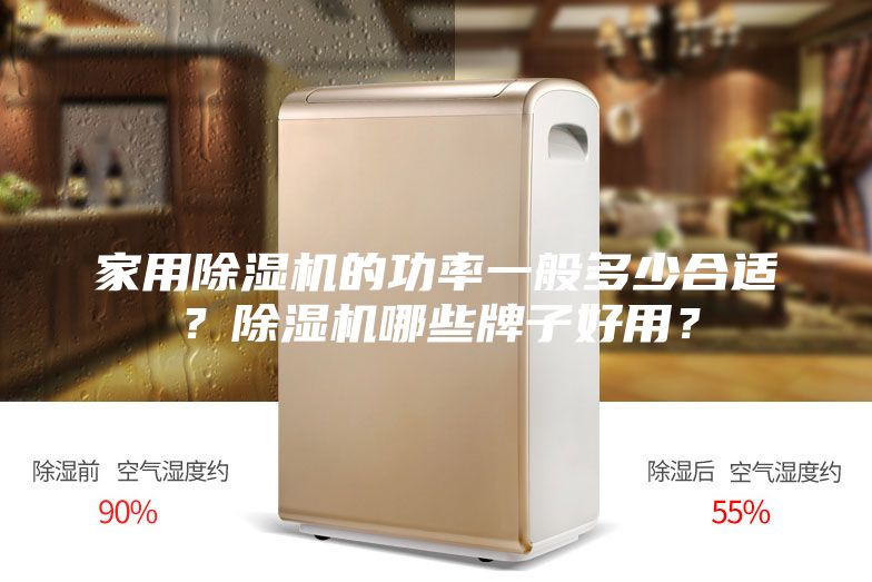 家用除濕機的功率一般多少合適？除濕機哪些牌子好用？